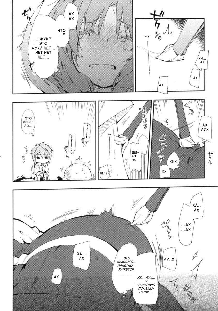 D-Sapuri!